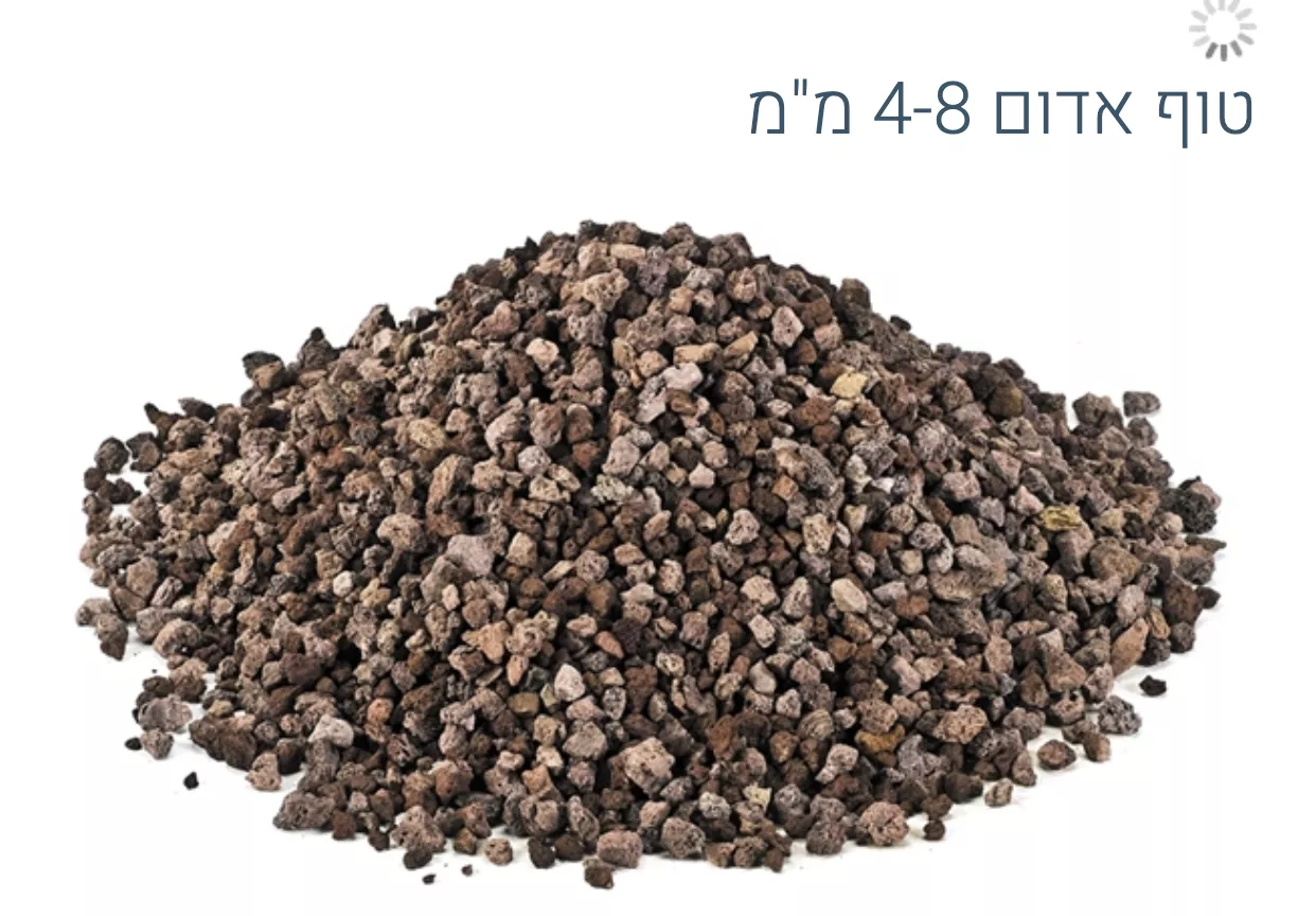 צילום מסך 2023-05-11 ב-9.34.05